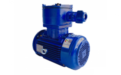TECO Exd IIBT4 Explosion-Proof Motors