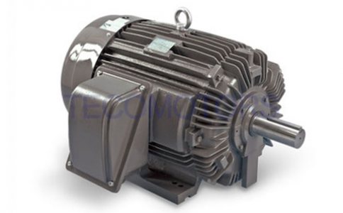 NEMA VFD Dust Explosion Proof Motor